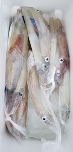 20190226_132439.jpg