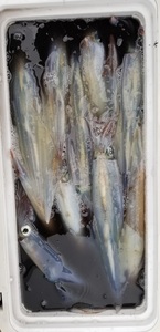 20190303_131544.jpg