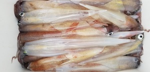 20190310_133835.jpg
