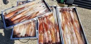20190314_130223.jpg