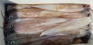 20190317_132703.jpg