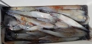 20190318_131733.jpg