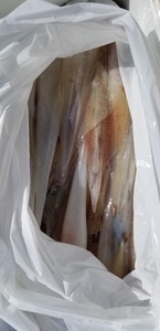 20190318_131014.jpg