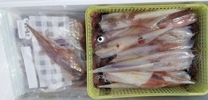 20190319_132715.jpg