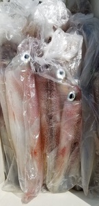 20190320_133611.jpg