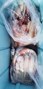 20190322_130401.jpg