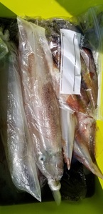 20190324_132825.jpg
