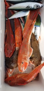 20190325_131933.jpg
