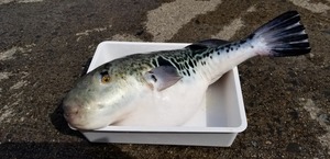 20190325_131229.jpg