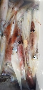 20190325_133406.jpg
