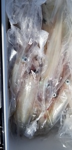 20190327_133329.jpg