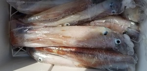 20190327_133517.jpg