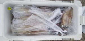 20190329_133236.jpg