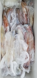 20190330_131754.jpg