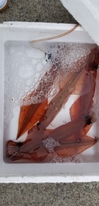20190330_132225.jpg
