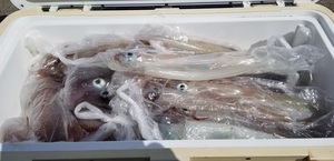 20190403_132000.jpg