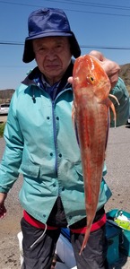 20190404_125637.jpg