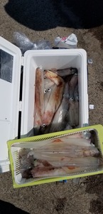 20190404_132037.jpg