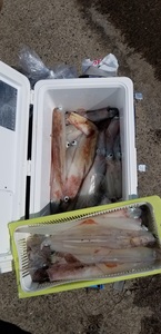 20190404_132040.jpg