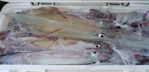 20190404_133049.jpg