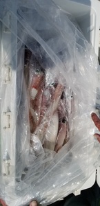 20190406_134823.jpg