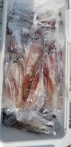 20190407_132841.jpg