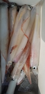 20190407_135742.jpg