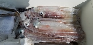 20190408_135552.jpg