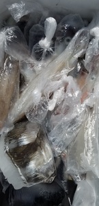 20190413_131304.jpg