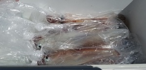 20190418_124449.jpg