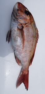20190507_114929.jpg