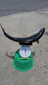 20190614_114857.jpg