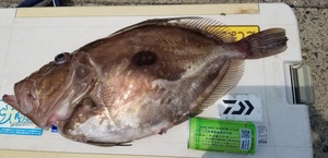 20190621_123917.jpg