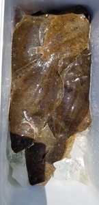 20190626_124933.jpg
