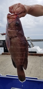 20190720_122454.jpg