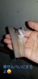 20190725_211727.jpg