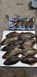 20190729_110613.jpg