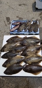 20190729_110613.jpg