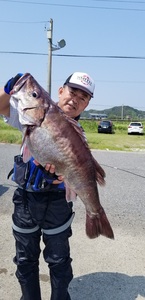 20190801_130913.jpg