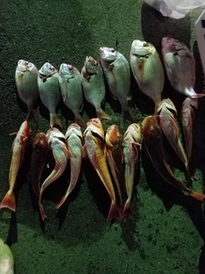 20190928_181705.jpg