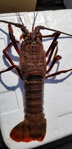 20191002_121831.jpg