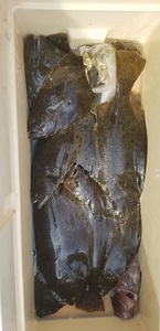 20191005_123547.jpg