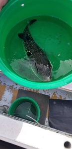 20191005_125059.jpg