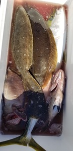 20191030_125533.jpg