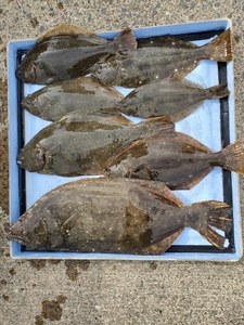 20191113_125313.jpg