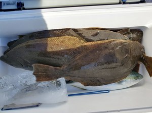 20191130_122127.jpg