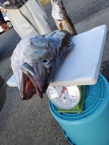 20191208_135810.jpg