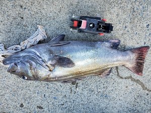 20191208_140231.jpg