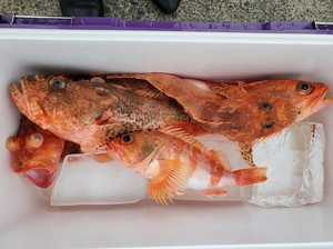 20191222_133449.jpg