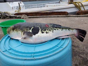 20191222_123303.jpg